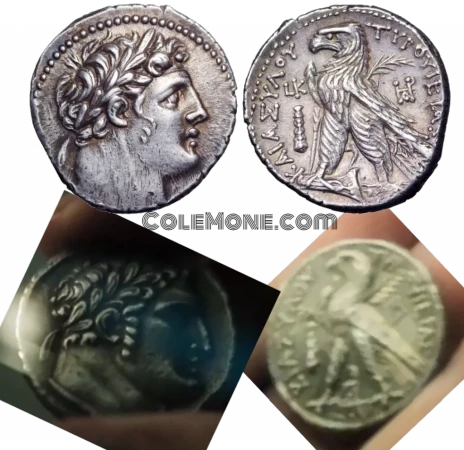 Comparación Tetradracma de Tiro Real y Serie 30 Monedas
