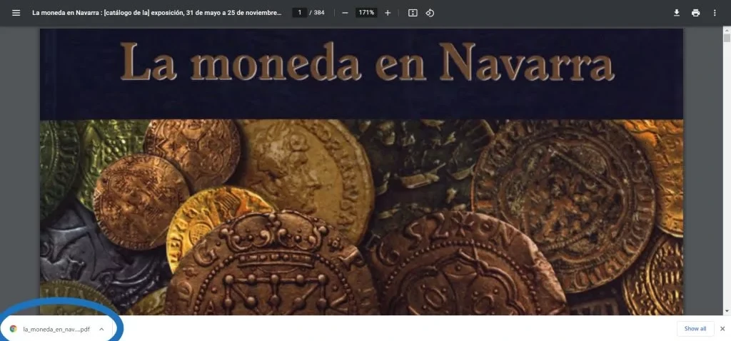 Descargado La Moneda en Navarra