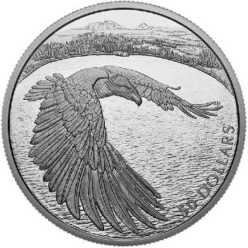 Canadá - 50 Dólares 2020 - Águila Calva - Anverso