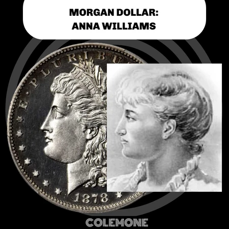 Comparación Morgan Dollar y Anna Williams